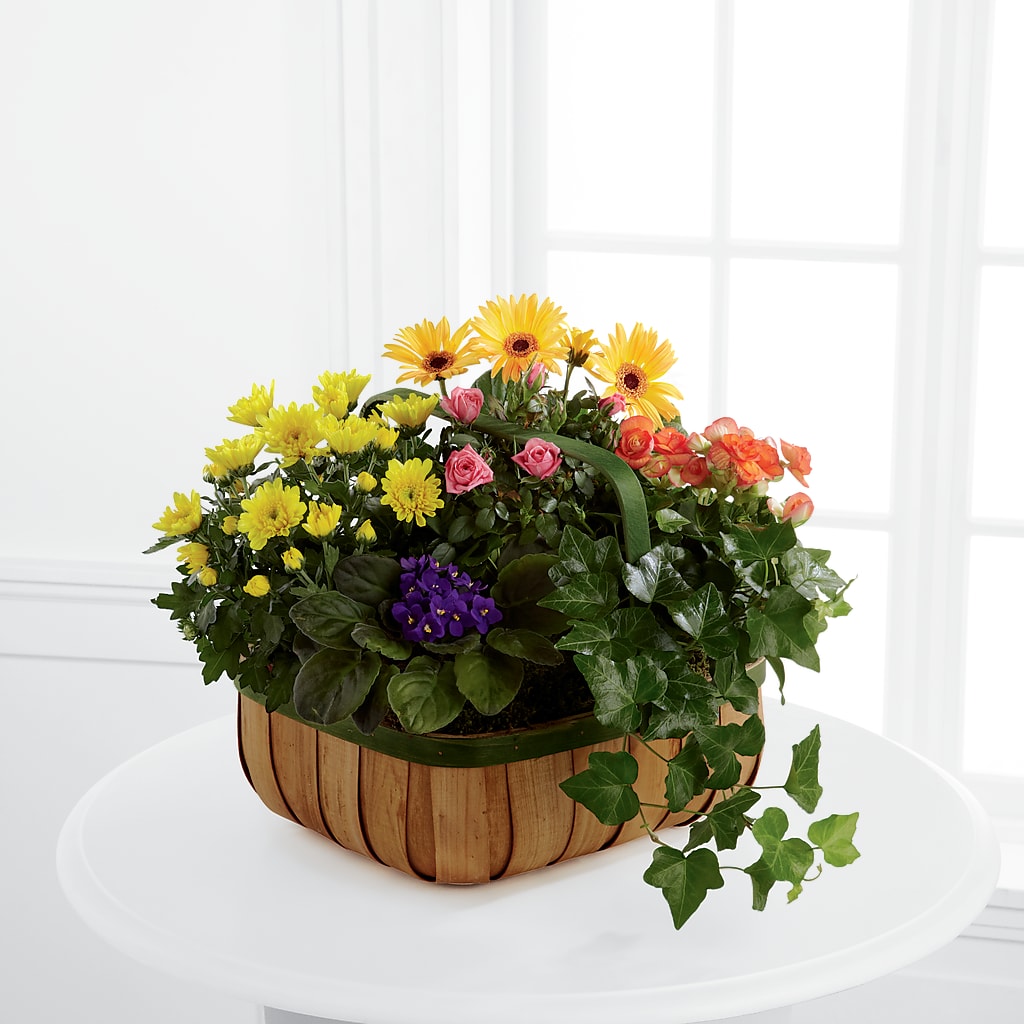 Gentle Blossoms Basket – Safeway, Pleasanton CA