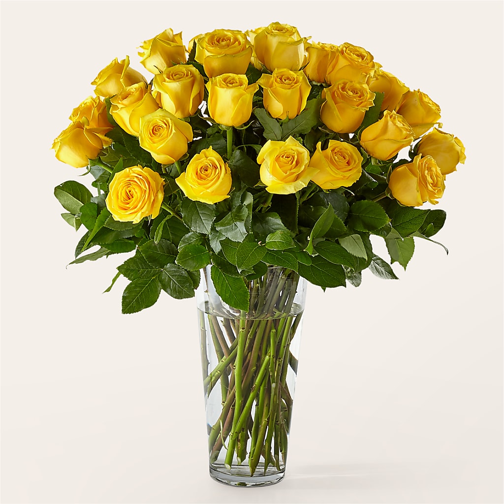 Long Stem Yellow Rose Bouquet – Safeway, Pleasanton CA