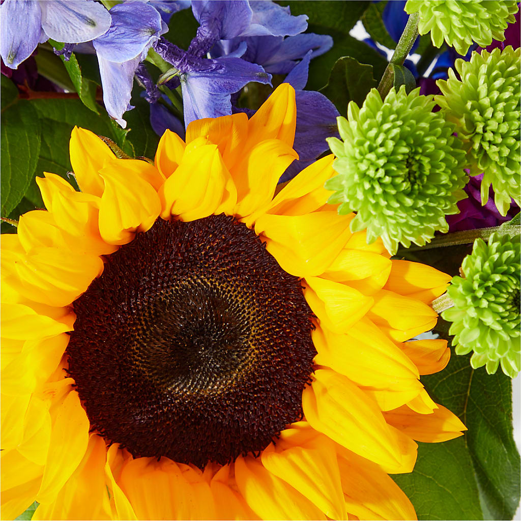 Catching Rays Bouquet – Safeway, Pleasanton CA