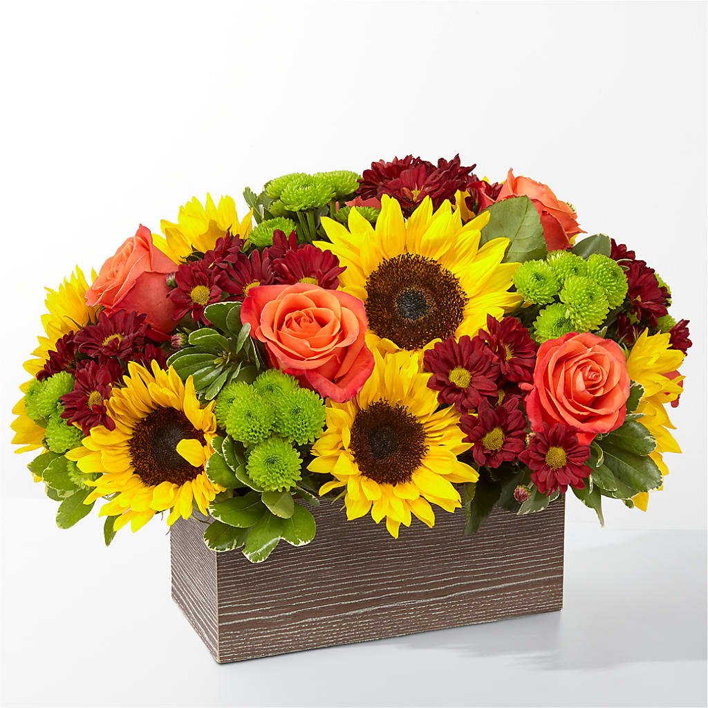Happy Harvest Garden – Safeway, Pleasanton CA