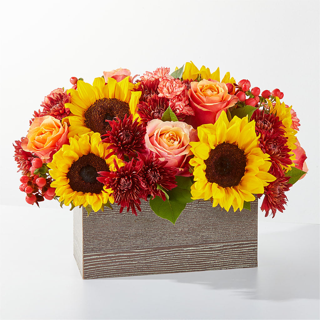 Fresh Cider Bouquet – Safeway, Pleasanton CA