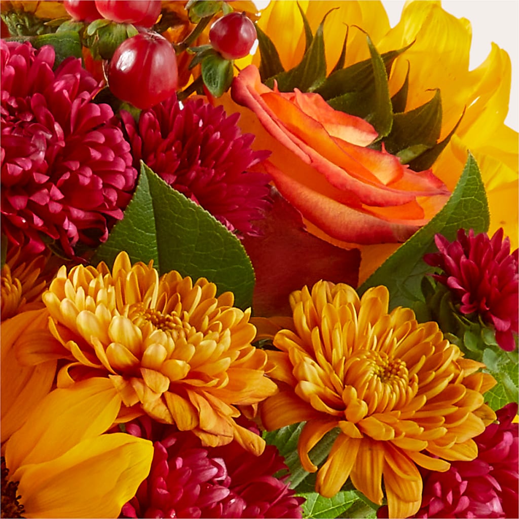 Sweater Season - A Florist Original – Safeway, Pleasanton CA