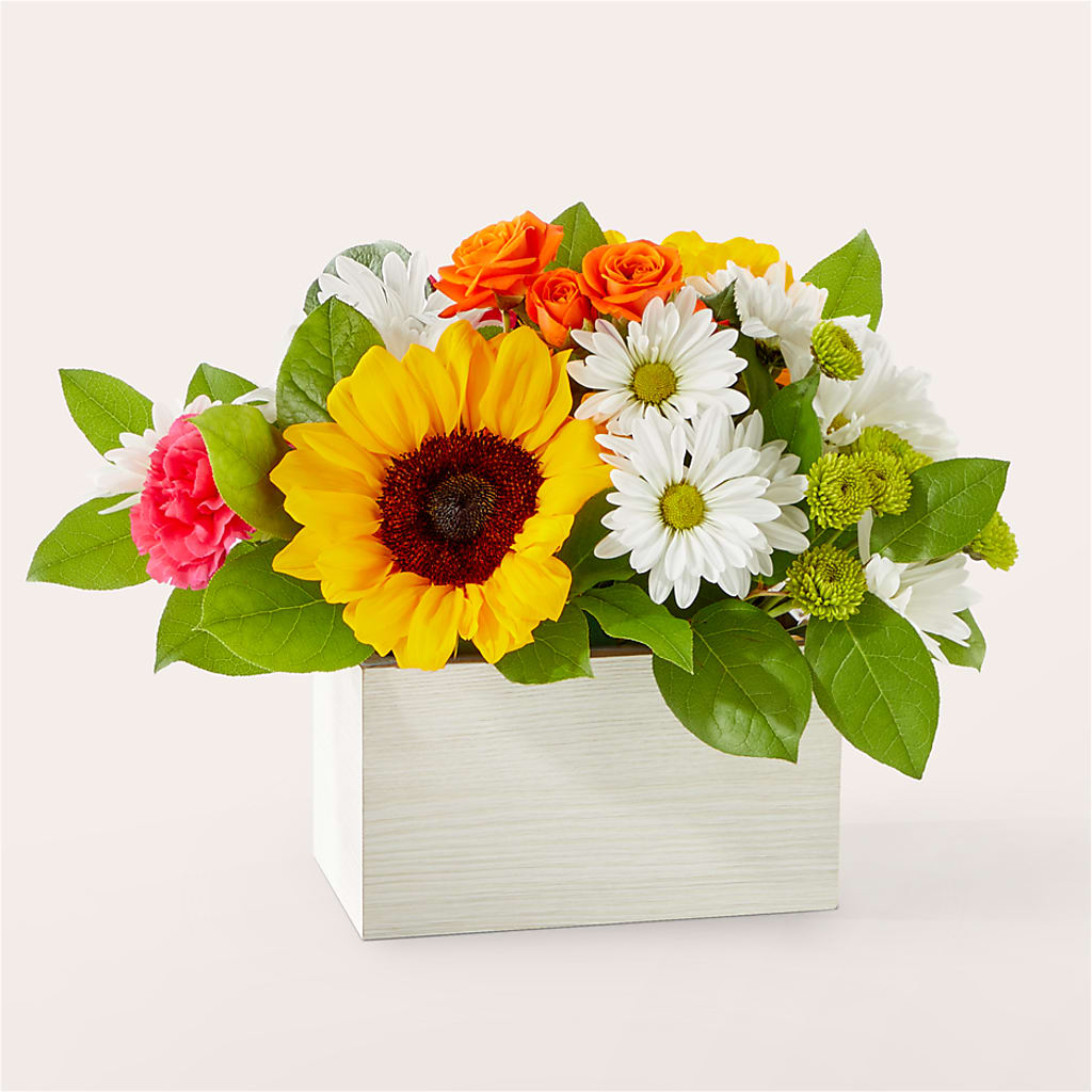 Sun-drenched Blooms Box Bouquet – Safeway, Pleasanton CA