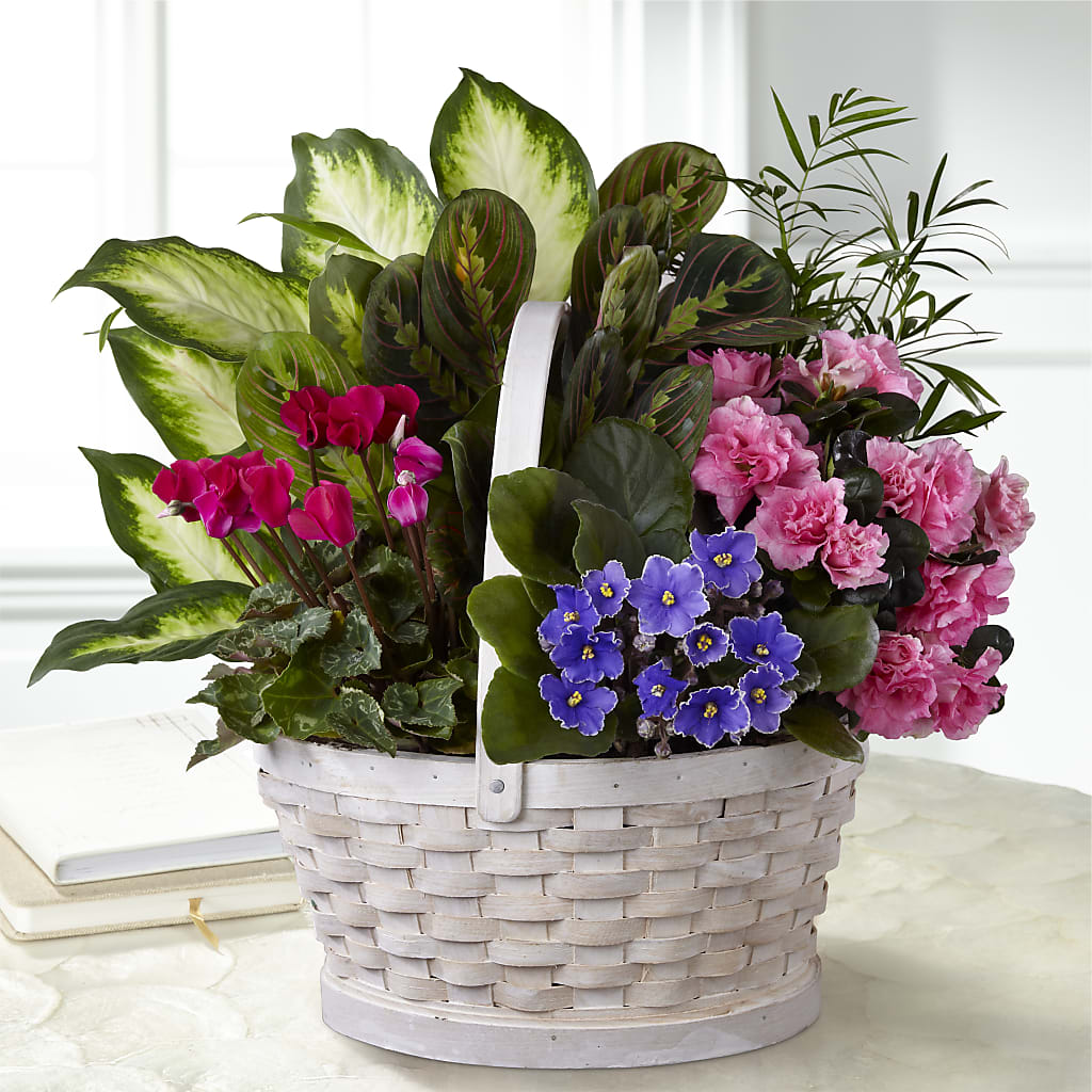 safeway plant pots Peaceful Garden Planter