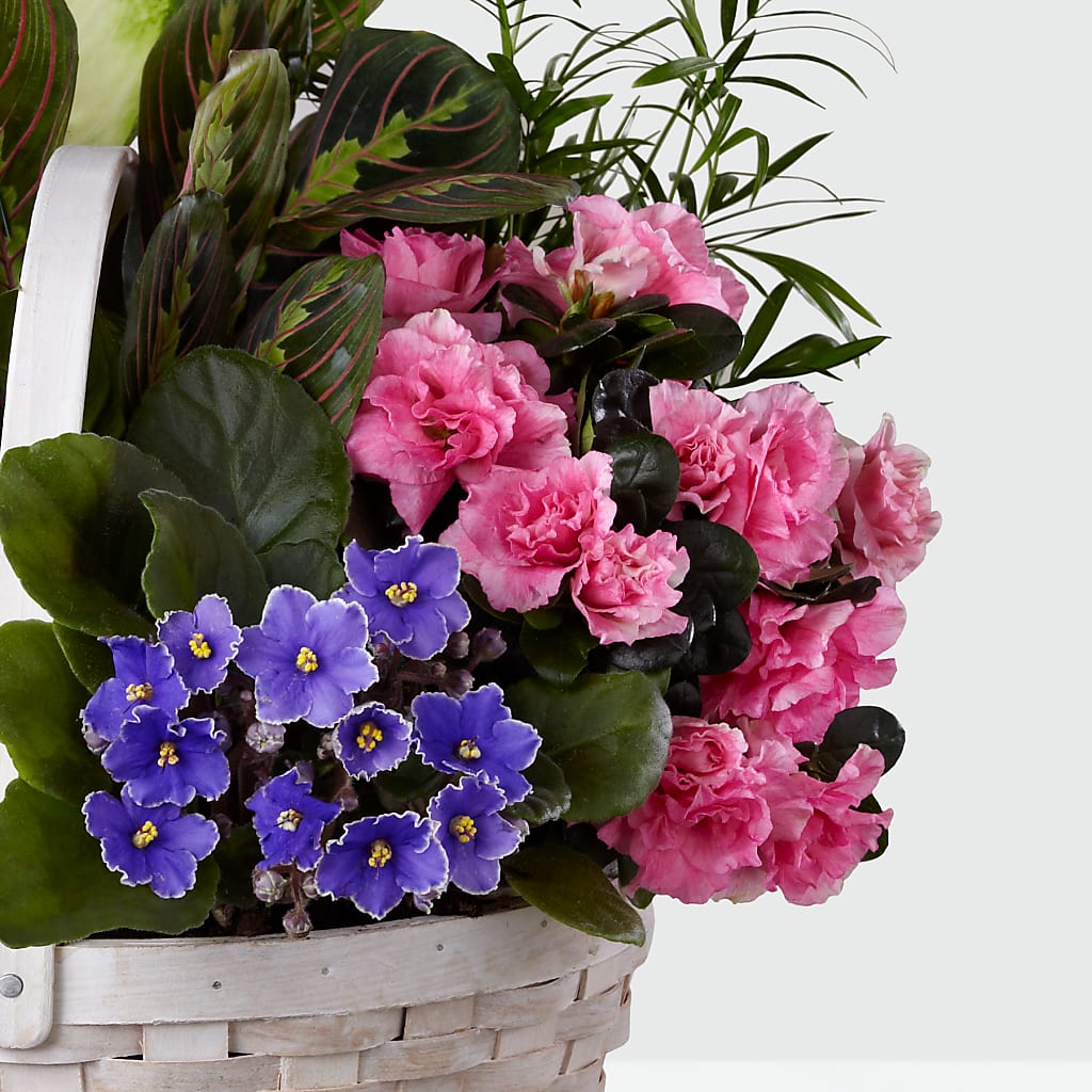 Peaceful Garden Planter – Safeway, Pleasanton CA
