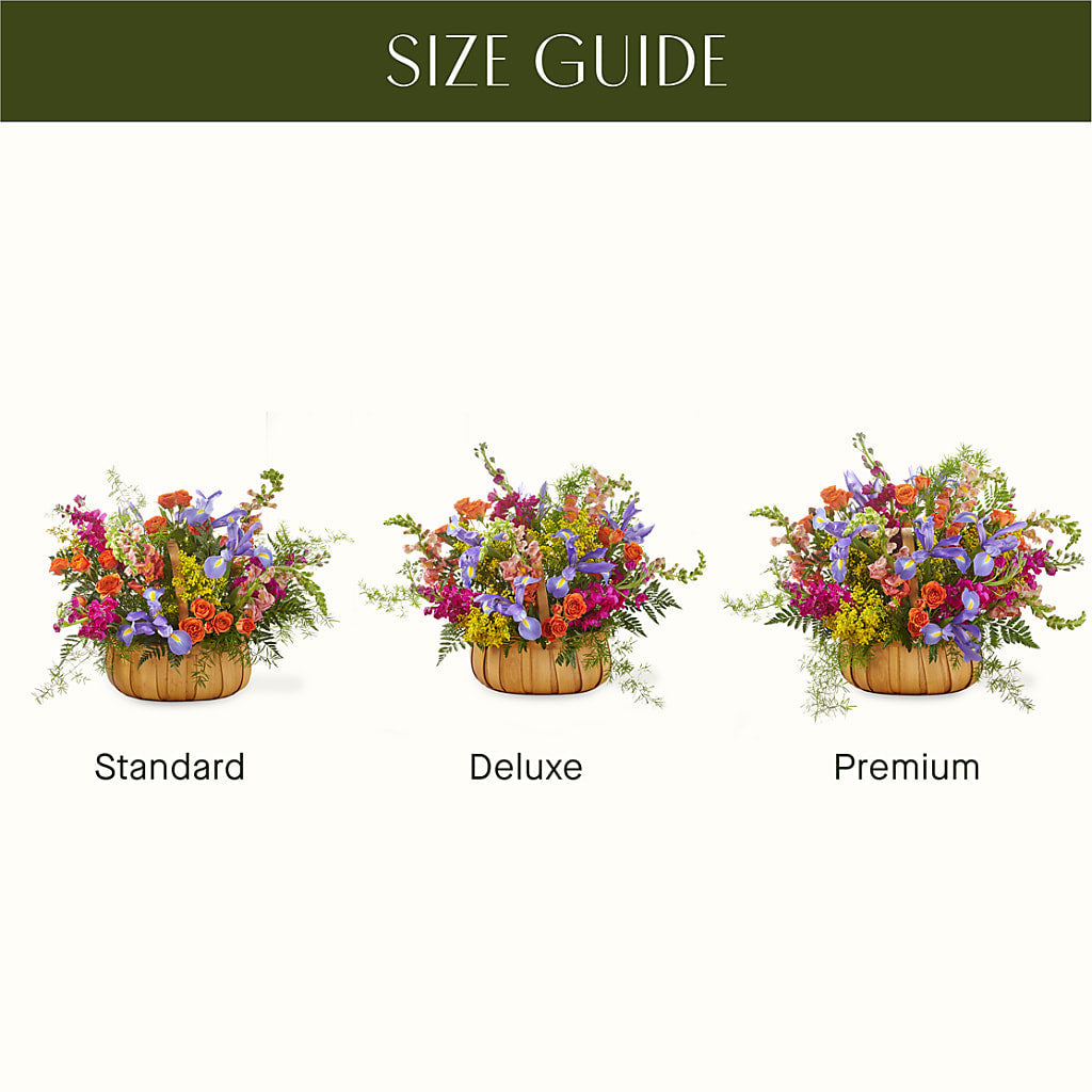 Garden of Life Basket – Safeway, Pleasanton CA