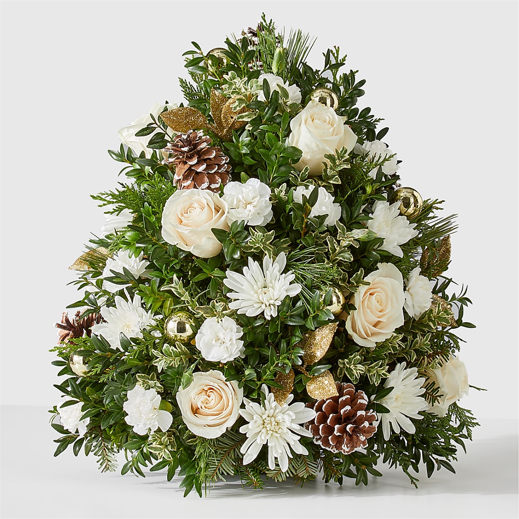 Snowed In Tree – Safeway, Pleasanton CA