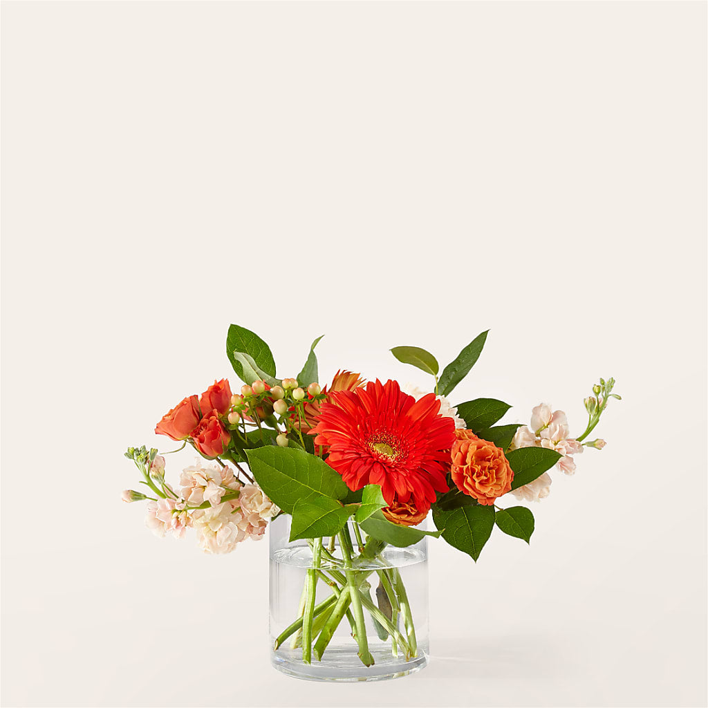 Paloma Please Bouquet – Safeway, Pleasanton CA