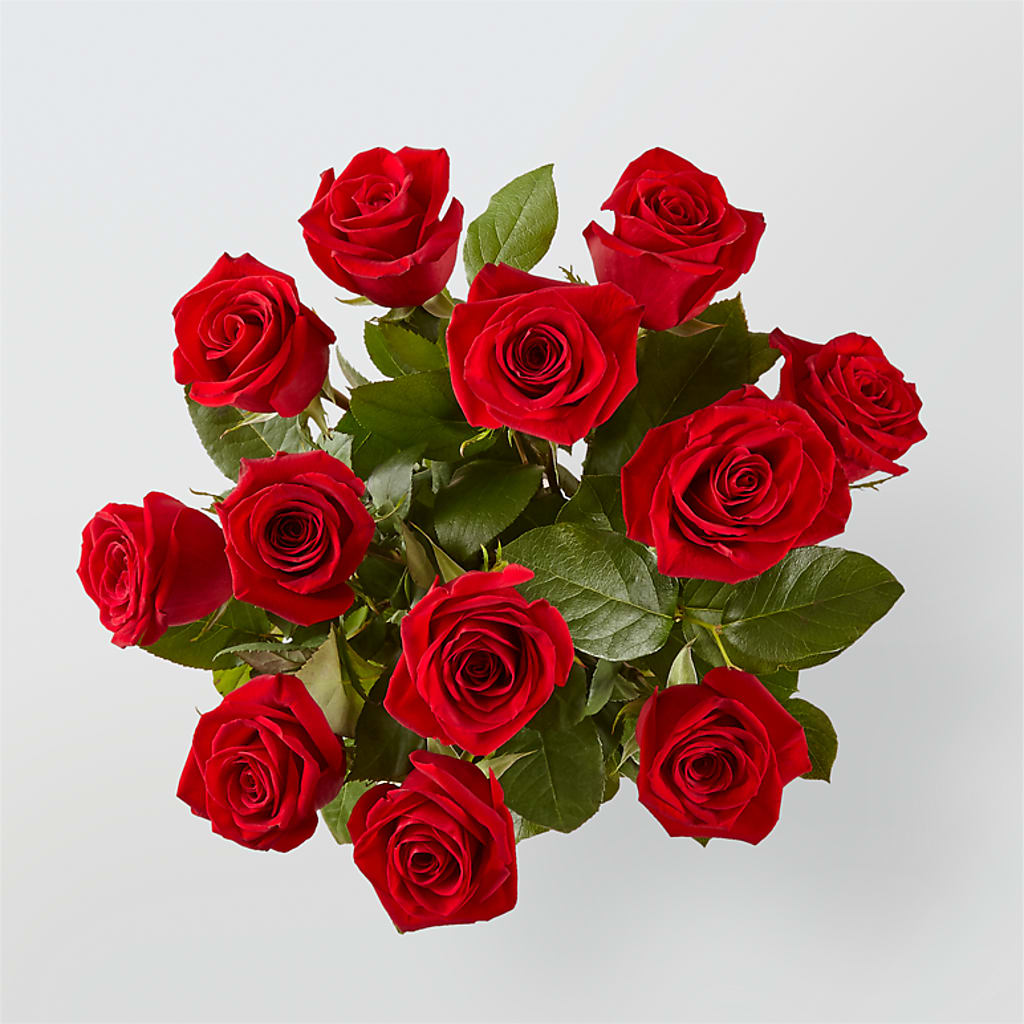 Long Stem Red Rose Bouquet –  Safeway, Pleasanton CA