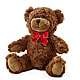 Adorable Plush Bear –  Safeway, Pleasanton CA
