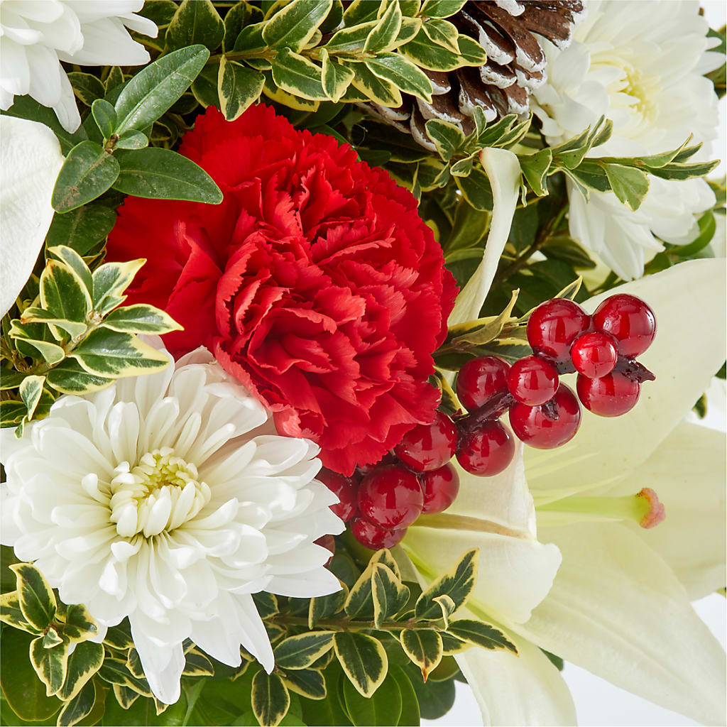 Festive Moments Tree –  Safeway, Pleasanton CA