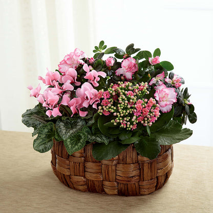Pink Assortment –  Safeway, Pleasanton CA