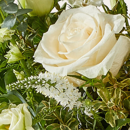 Cashmere Bouquet –  Safeway, Pleasanton CA