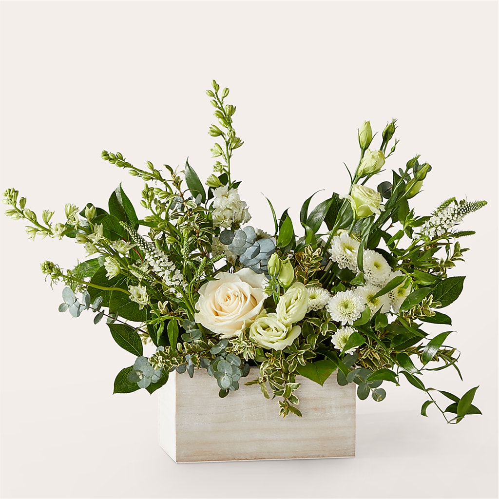 Cashmere Bouquet –  Safeway, Pleasanton CA