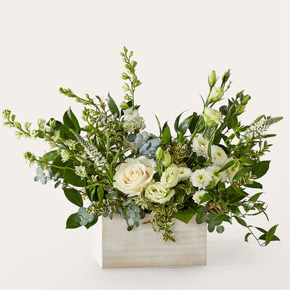 Cashmere Bouquet –  Safeway, Pleasanton CA