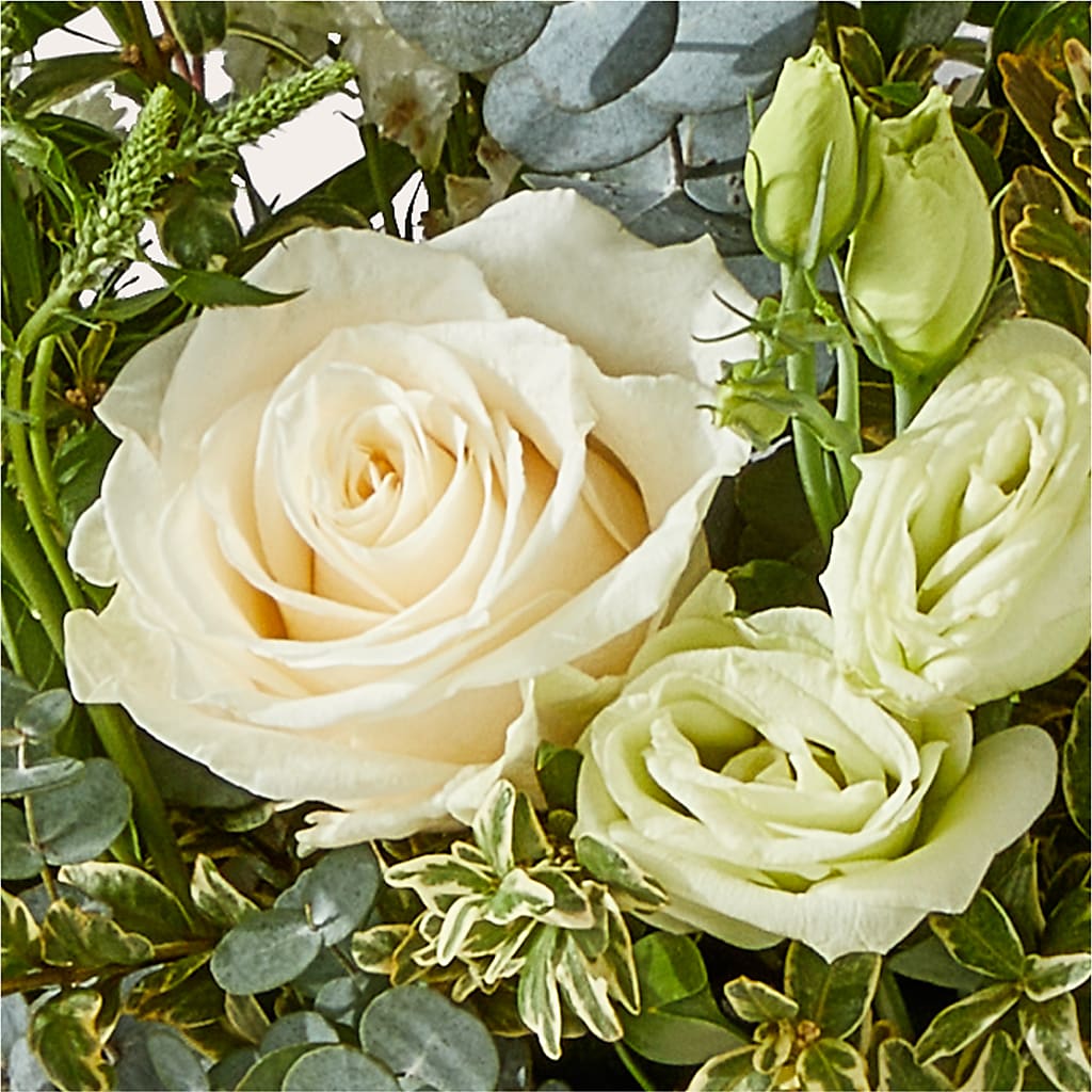 Cashmere Bouquet –  Safeway, Pleasanton CA