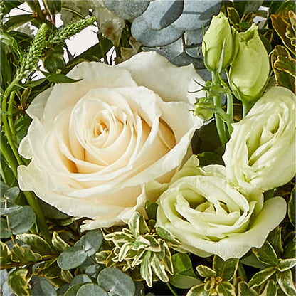 Cashmere Bouquet –  Safeway, Pleasanton CA
