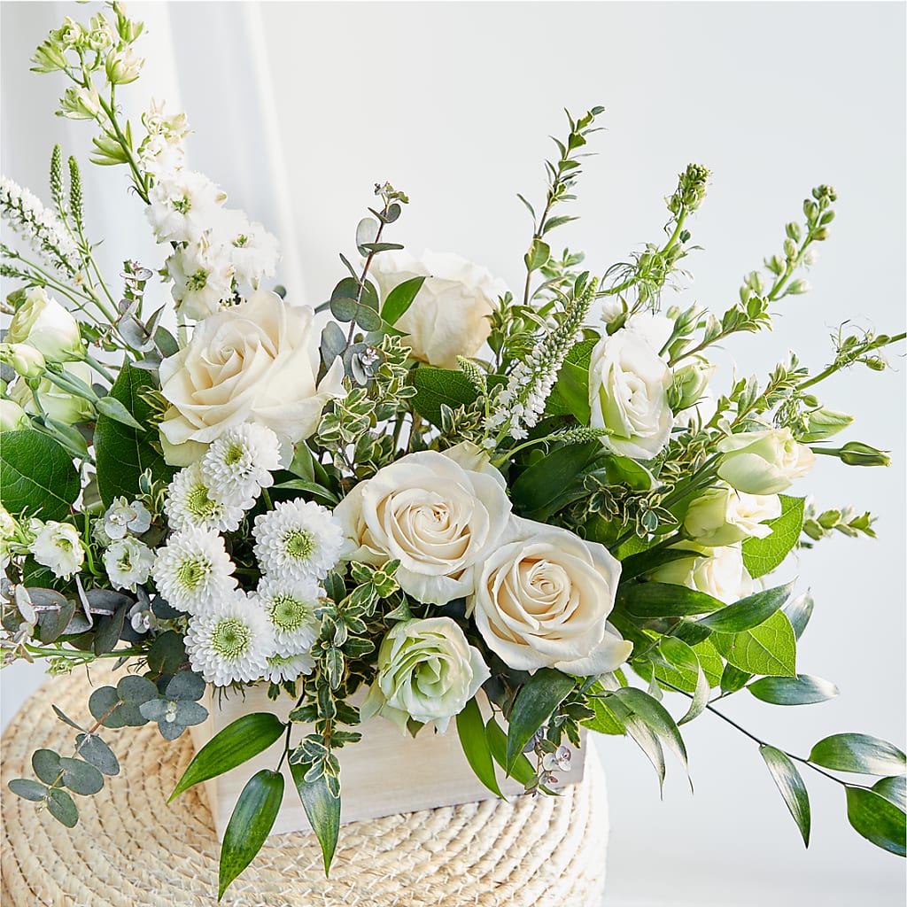 Cashmere Bouquet –  Safeway, Pleasanton CA