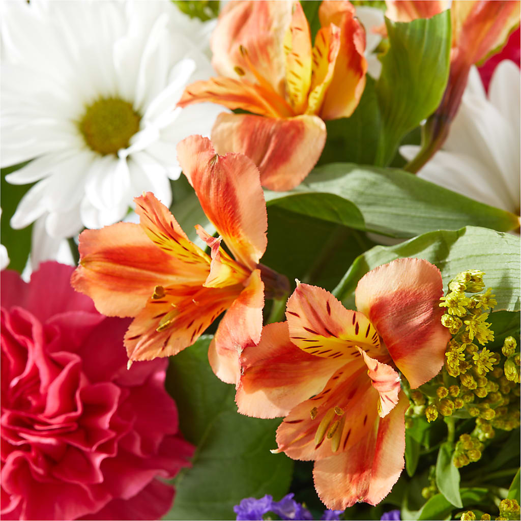 Oopsie Daisy Box Bouquet –  Safeway, Pleasanton CA