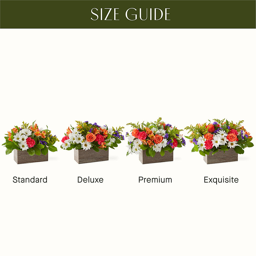 Oopsie Daisy Box Bouquet –  Safeway, Pleasanton CA