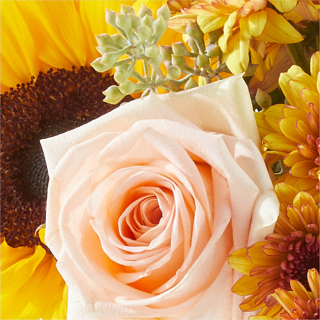 Pumpkin to Talk About Bouquet –  Safeway, Pleasanton CA