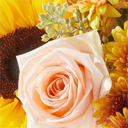 Pumpkin to Talk About Bouquet –  Safeway, Pleasanton CA