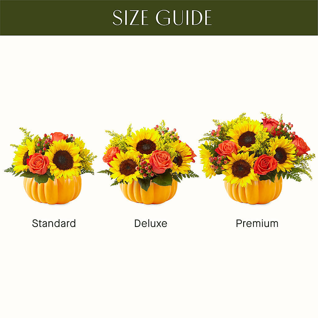 Pick of the Patch Pumpkin Bouquet –  Safeway, Pleasanton CA