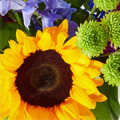 Catching Rays Bouquet –  Safeway, Pleasanton CA