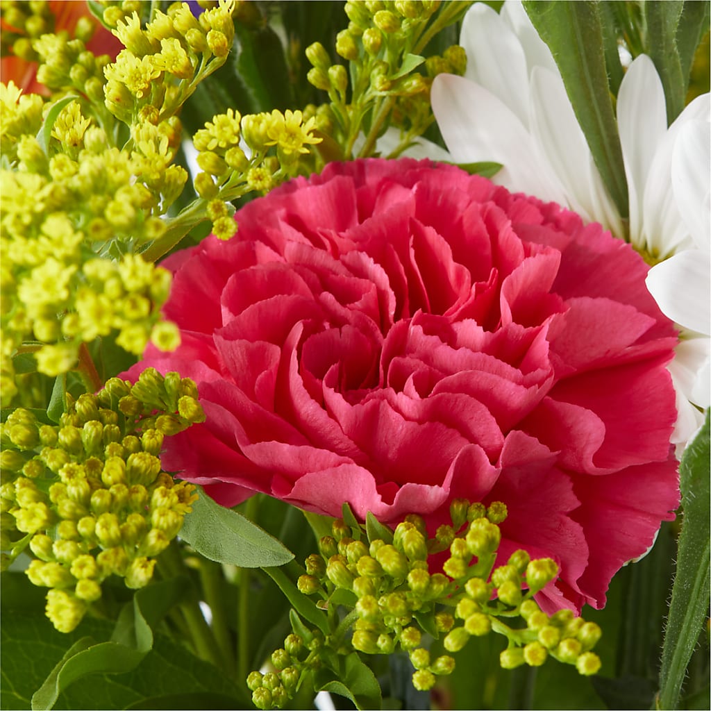 Oopsie Daisy Bouquet –  Safeway, Pleasanton CA