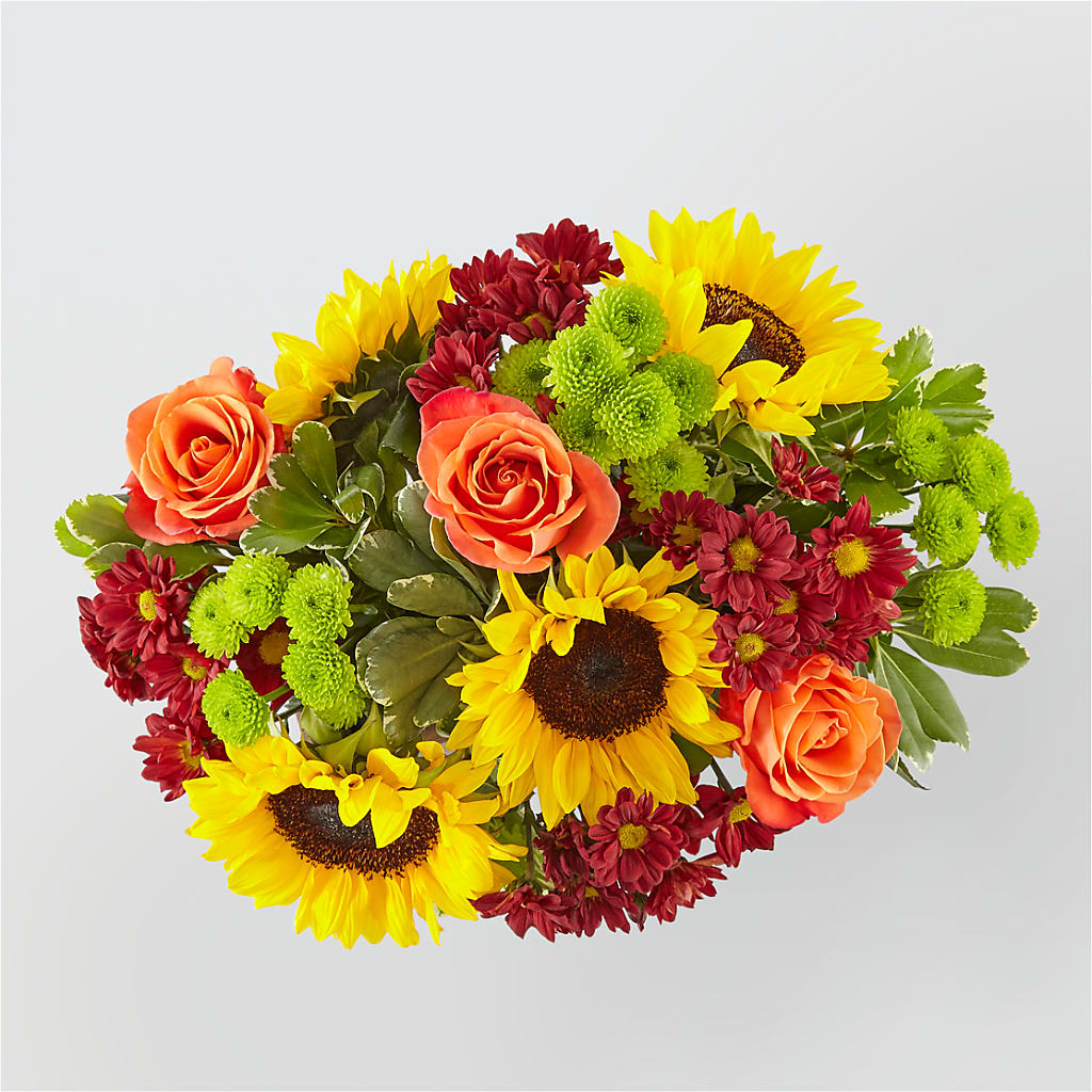 Happy Harvest Garden –  Safeway, Pleasanton CA