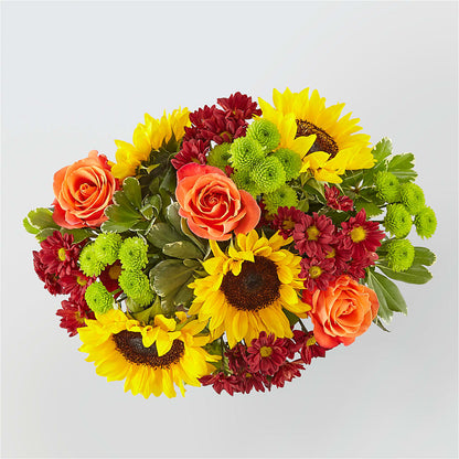 Happy Harvest Garden –  Safeway, Pleasanton CA