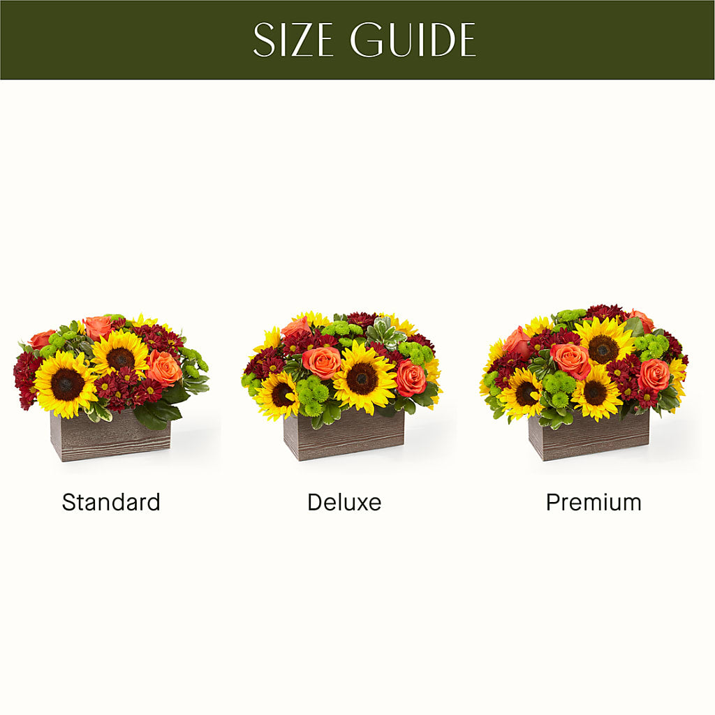 Happy Harvest Garden –  Safeway, Pleasanton CA
