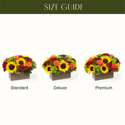 Happy Harvest Garden –  Safeway, Pleasanton CA