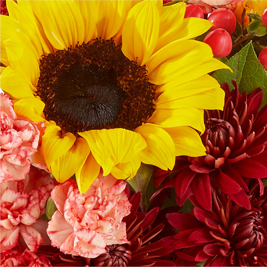 Fresh Cider Bouquet –  Safeway, Pleasanton CA