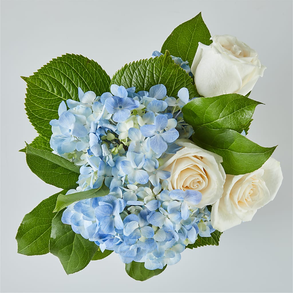 Sky Blue Delight Bouquet –  Safeway, Pleasanton CA