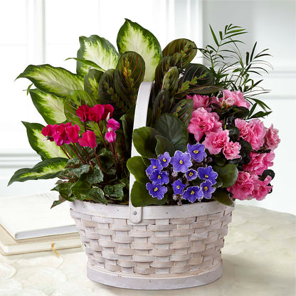 Peaceful Garden Planter –  Safeway, Pleasanton CA