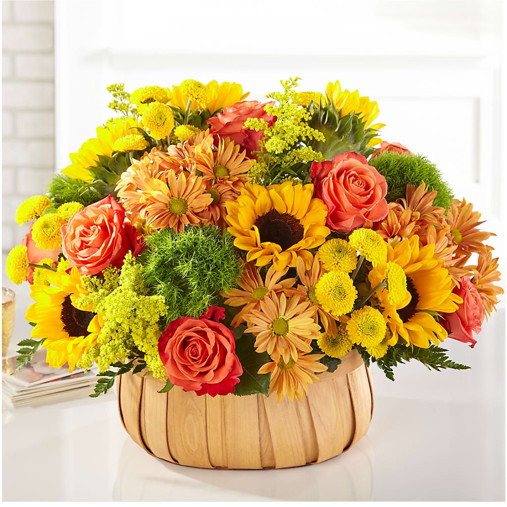 Harvest Sunflower Basket –  Safeway, Pleasanton CA