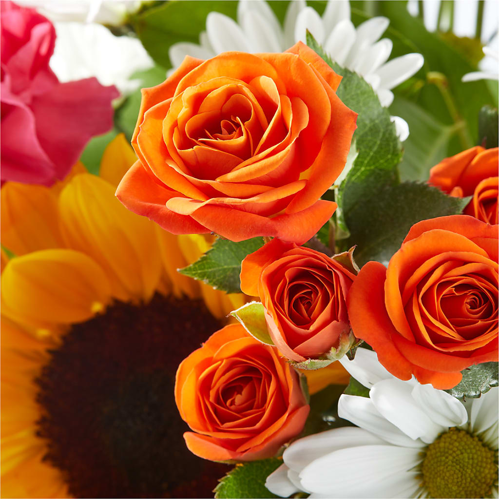 Sun-drenched Blooms Bouquet –  Safeway, Pleasanton CA