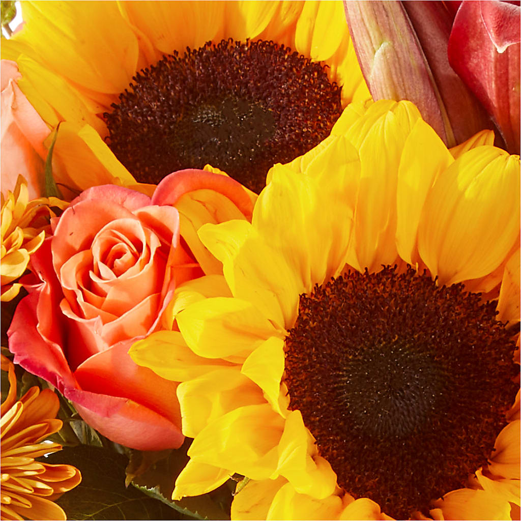 Acorn Lane Bouquet –  Safeway, Pleasanton CA