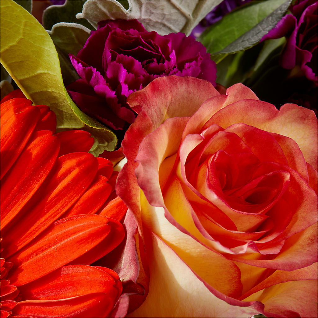 Sangria Bouquet –  Safeway, Pleasanton CA