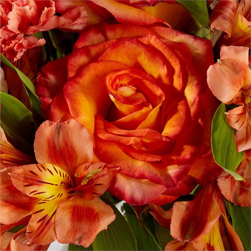 Apricot Glow Bouquet –  Safeway, Pleasanton CA