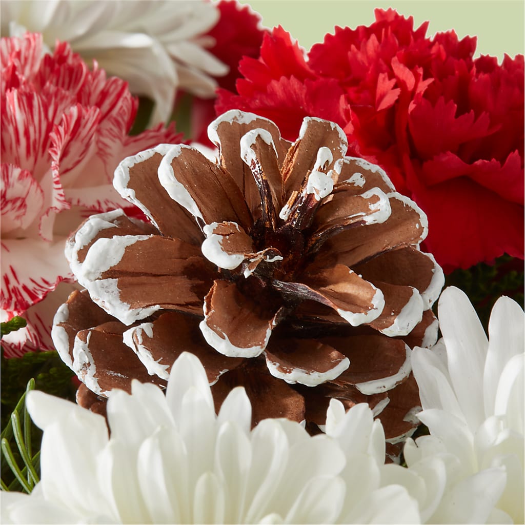 Candy Cane Lane Bouquet –  Safeway, Pleasanton CA