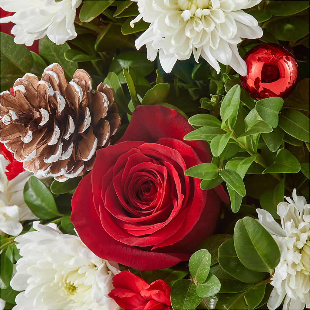 Let It Snow Tree –  Safeway, Pleasanton CA