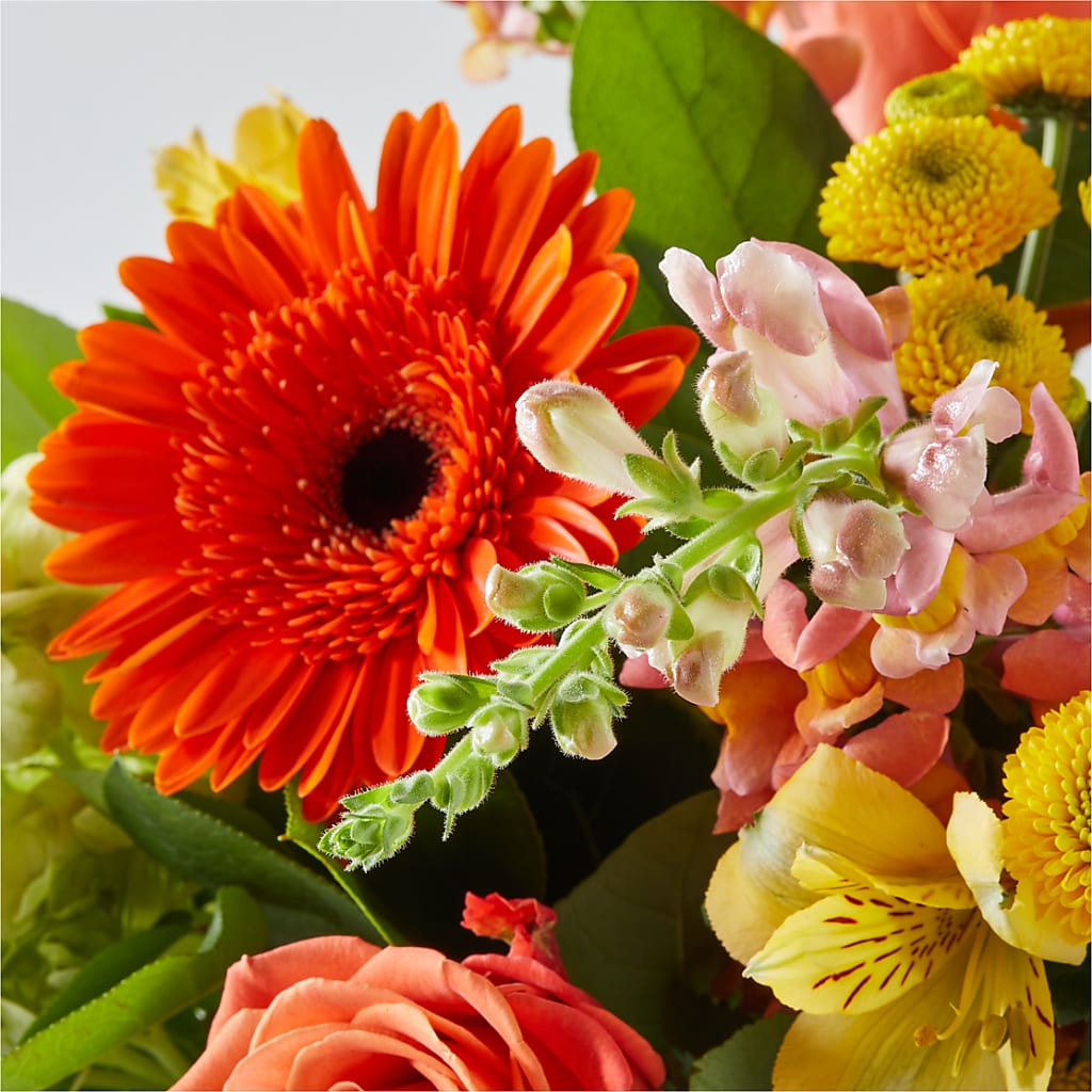 Autumn Sunshine Bouquet –  Safeway, Pleasanton CA