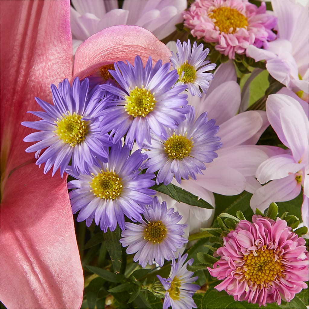Pirouette Bouquet –  Safeway, Pleasanton CA