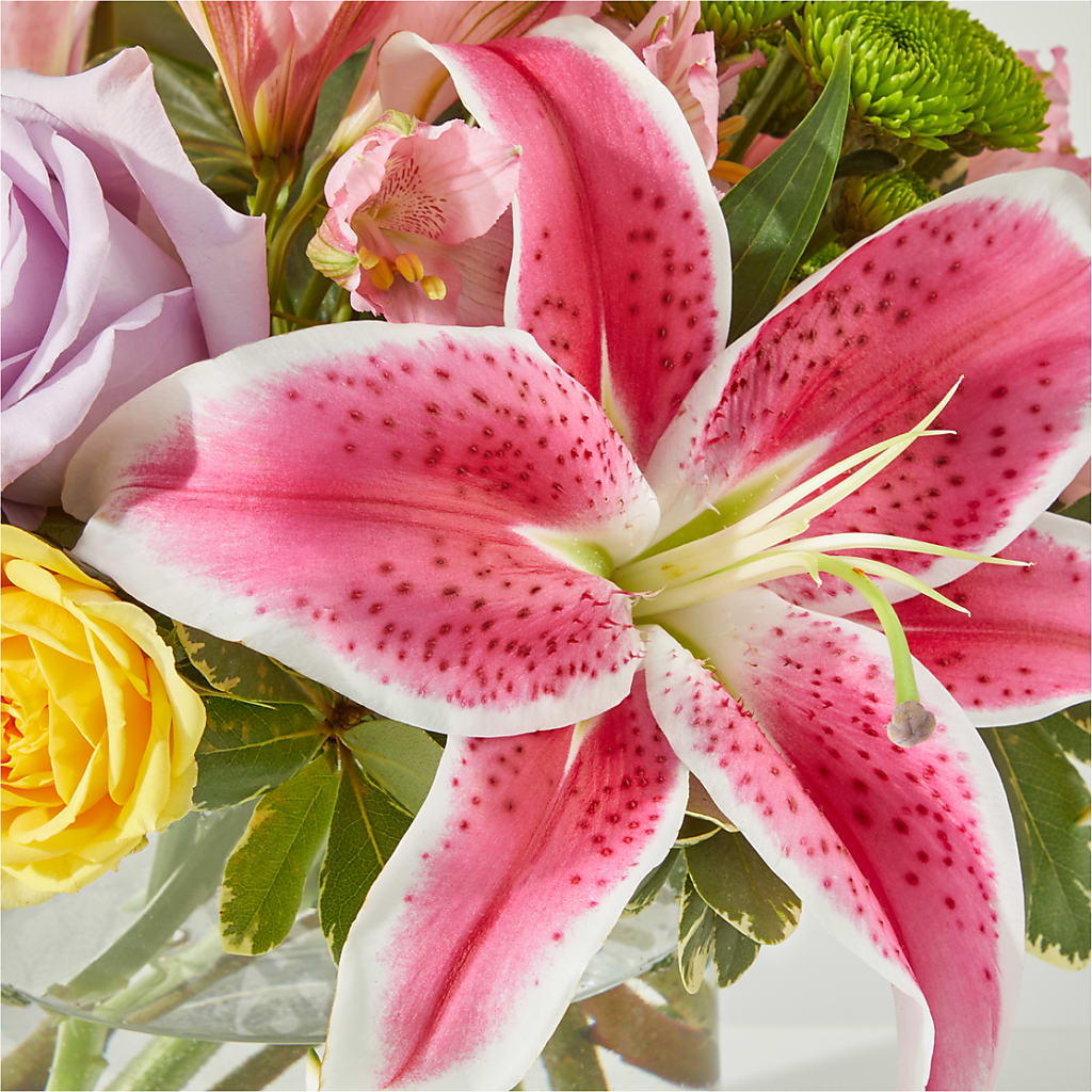 Serendipitous Blossoms Bouquet –  Safeway, Pleasanton CA