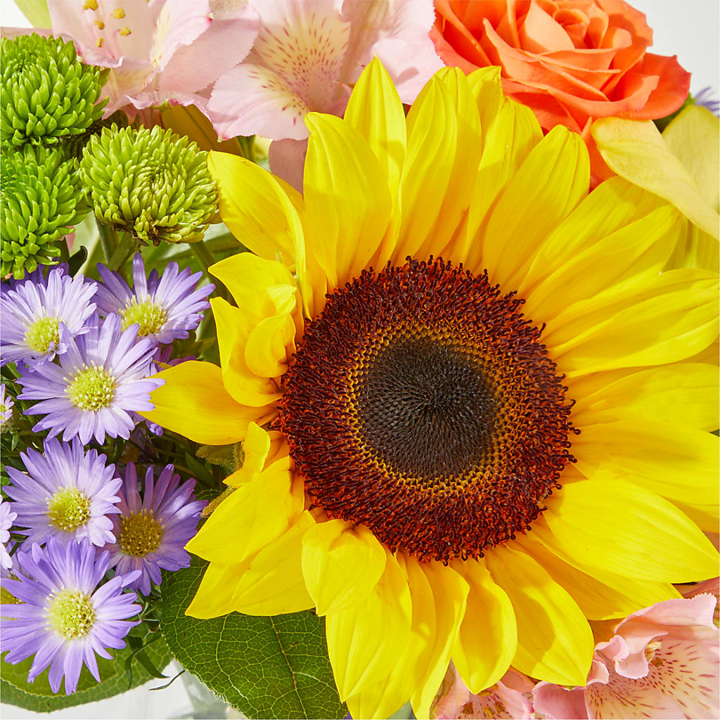 Basking in the Glow Bouquet –  Safeway, Pleasanton CA