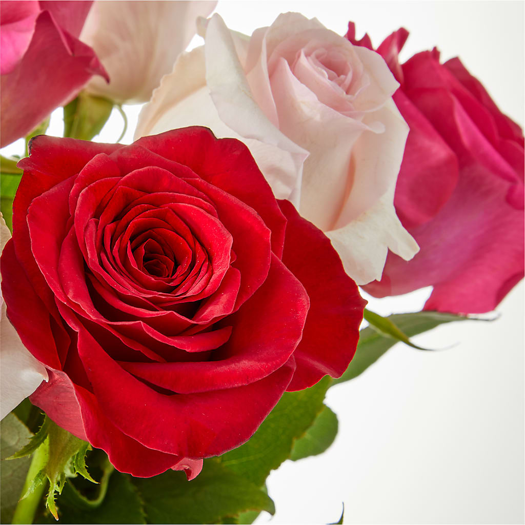 Charming Rose Bouquet –  Safeway, Pleasanton CA