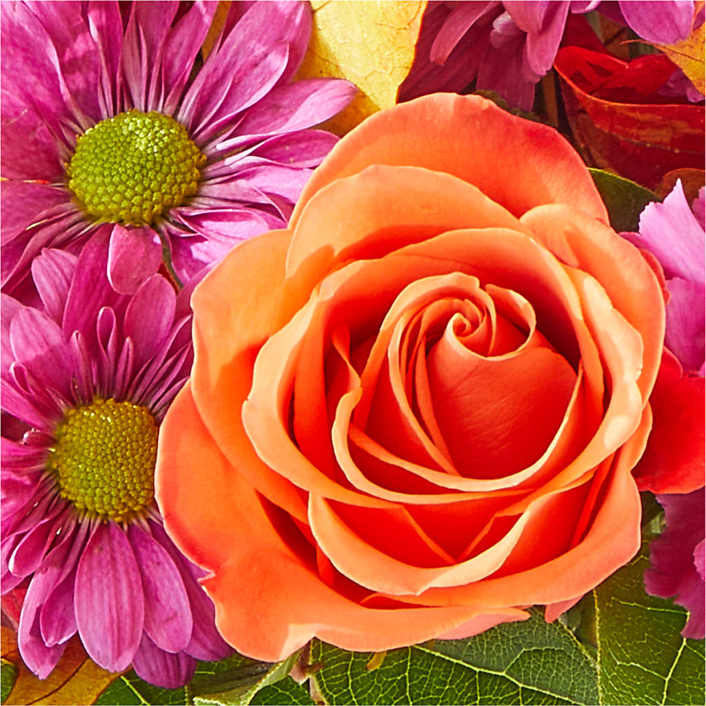 Mum's the Word Bouquet –  Safeway, Pleasanton CA