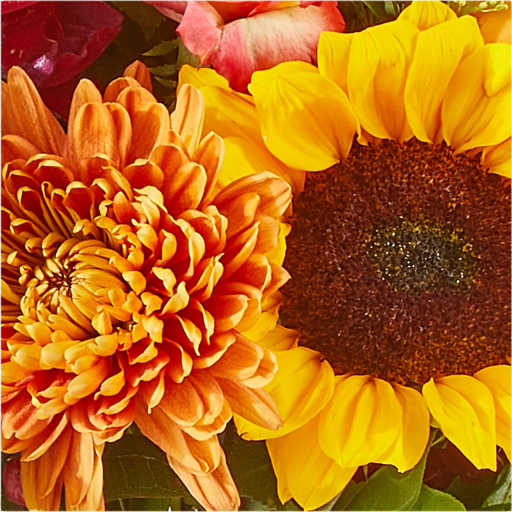 Seasons Change Bouquet –  Safeway, Pleasanton CA